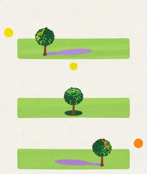 One tree painted three times: under the morning, noon and evening sun, with the shadow moving